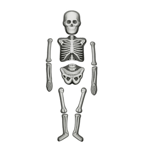 Mould and Decorate Human Skeleton