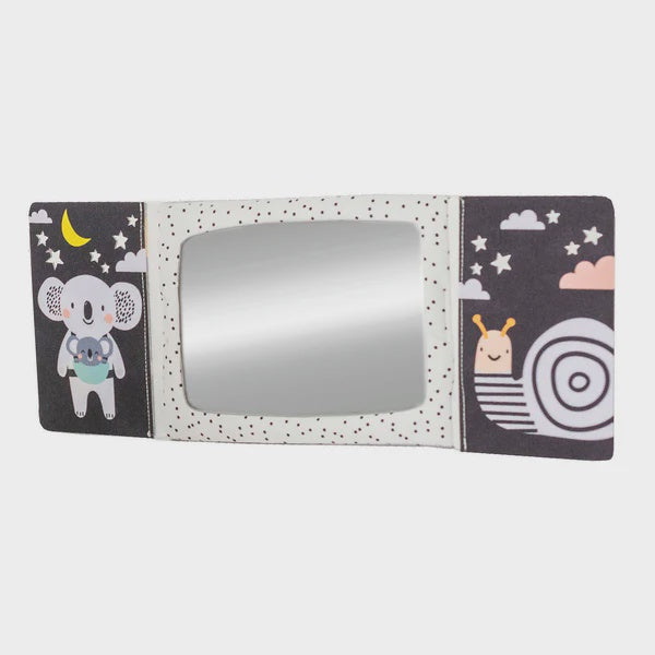 TUMMY TIME MIRROR BOOK