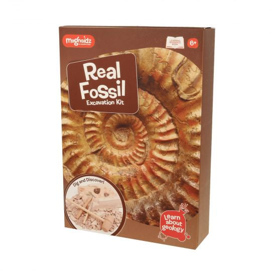 Fossil Dig Set